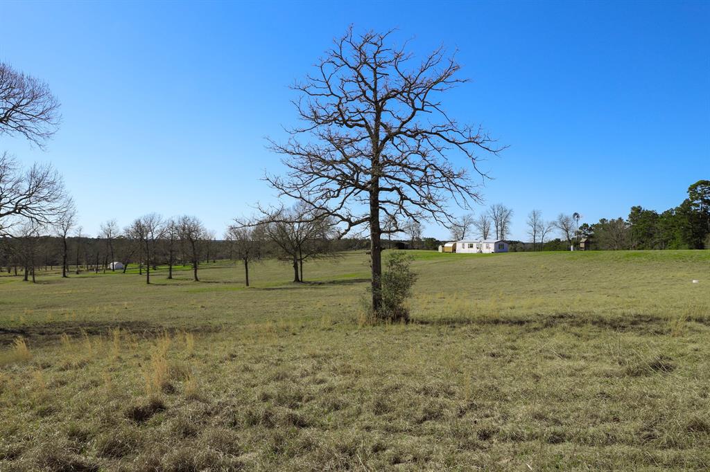 261 Dogwood Hill Trail, Groveton, Texas image 34