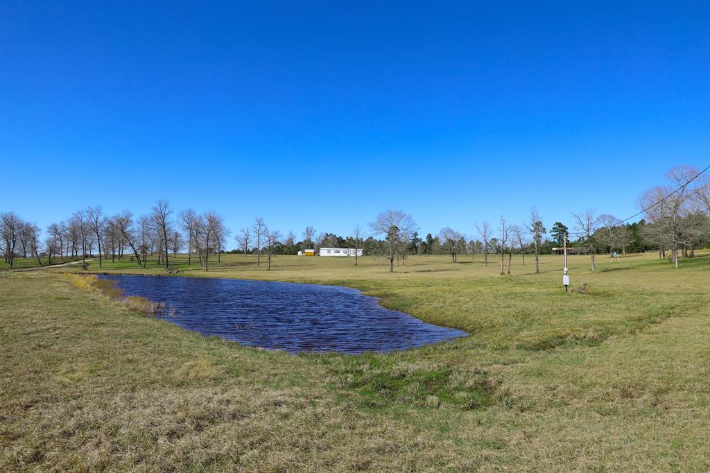 261 Dogwood Hill Trail, Groveton, Texas image 4