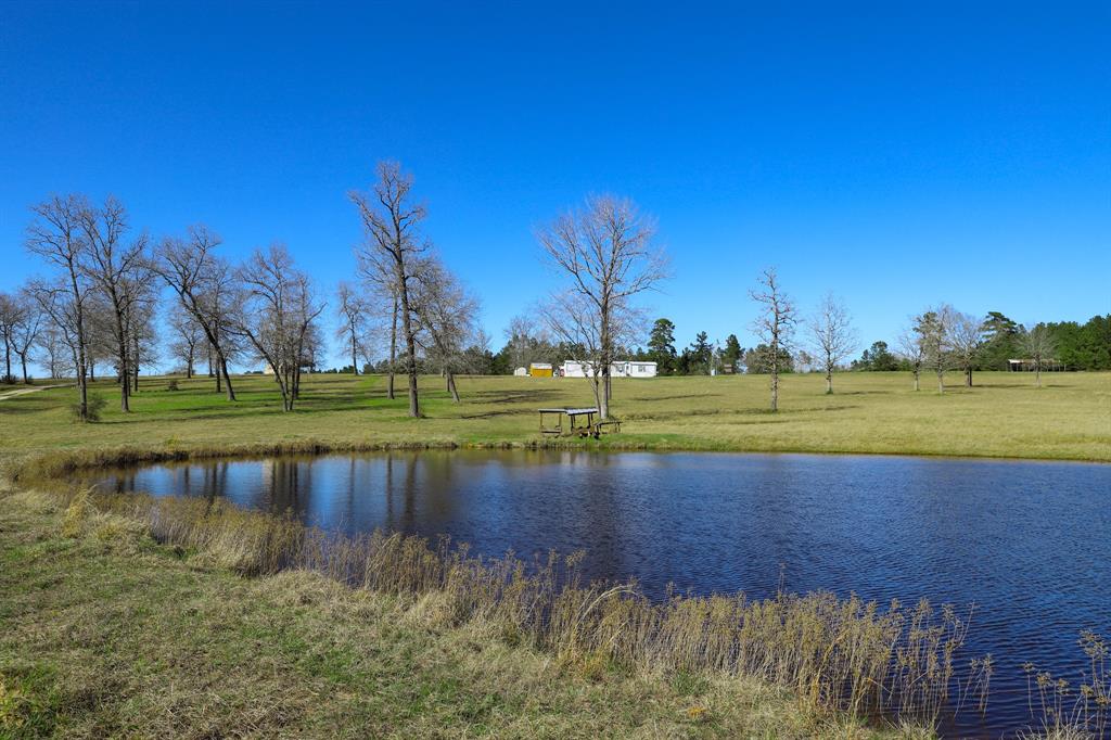 261 Dogwood Hill Trail, Groveton, Texas image 36