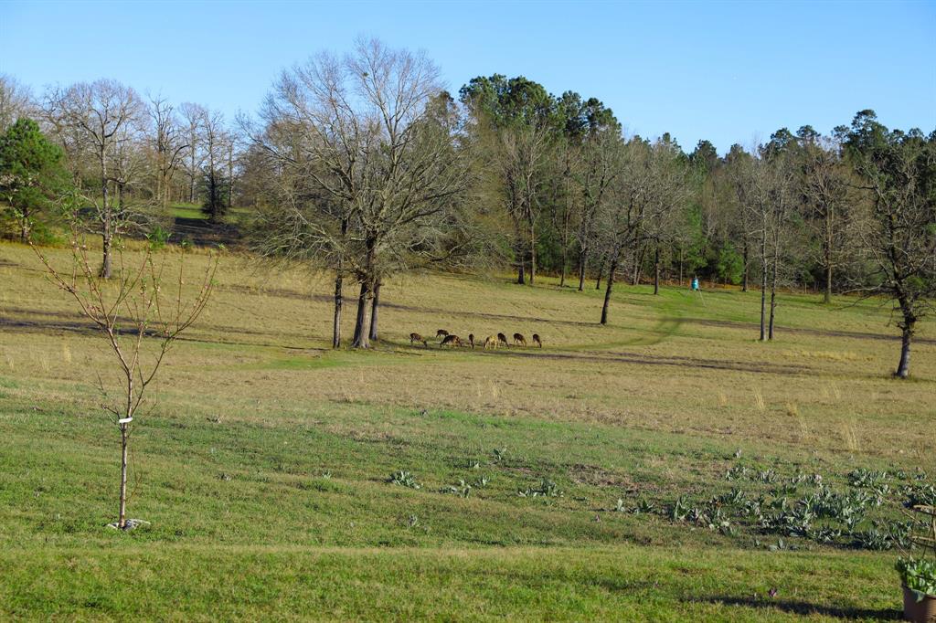261 Dogwood Hill Trail, Groveton, Texas image 38