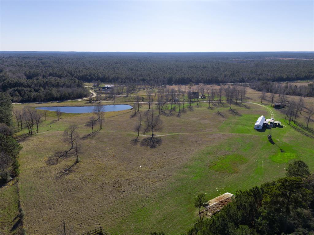 261 Dogwood Hill Trail, Groveton, Texas image 1