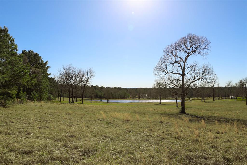261 Dogwood Hill Trail, Groveton, Texas image 33