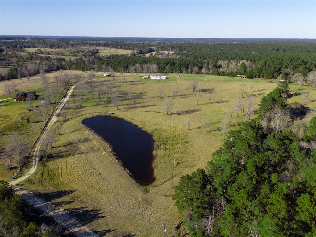 261 Dogwood Hill Trail, Groveton, Texas image 41