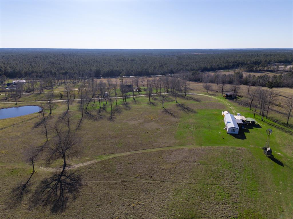 261 Dogwood Hill Trail, Groveton, Texas image 42