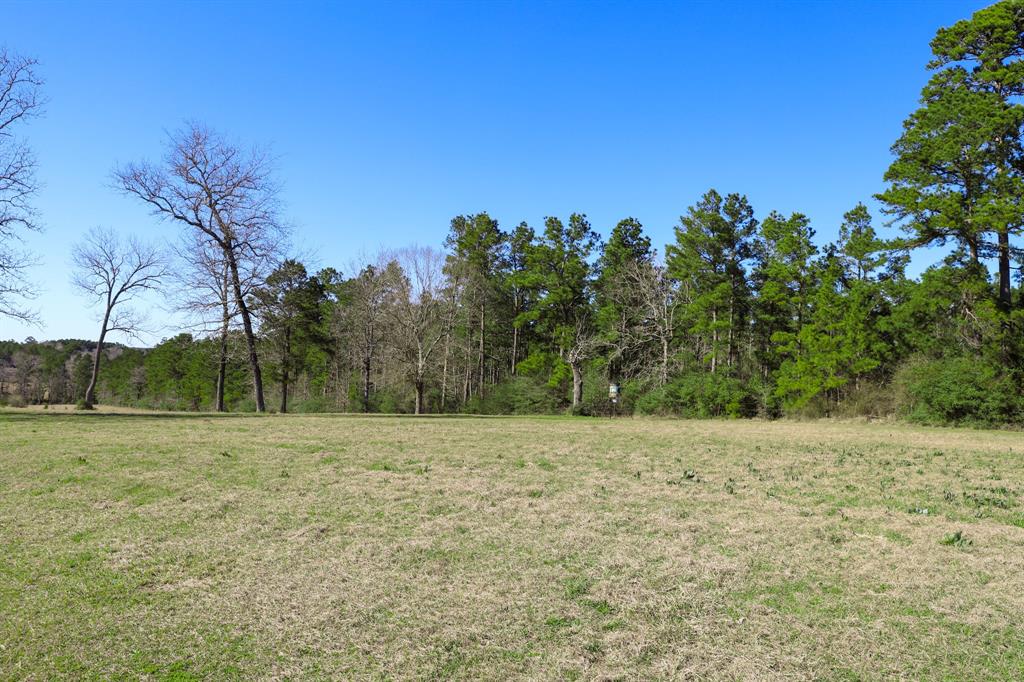 261 Dogwood Hill Trail, Groveton, Texas image 31