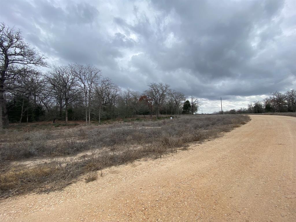 1215 Walleye Creek Trail Trl, Lexington, Texas image 7