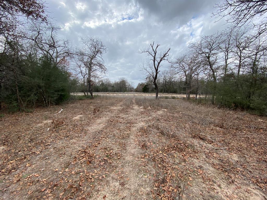 1215 Walleye Creek Trail Trl, Lexington, Texas image 14