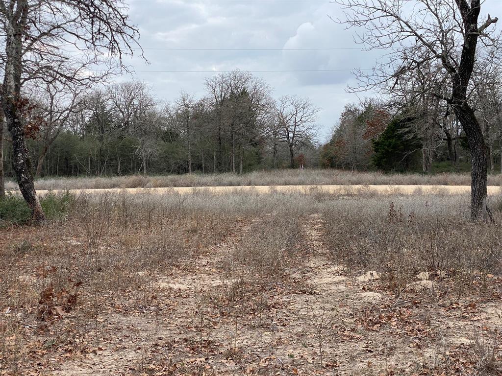 1215 Walleye Creek Trail Trl, Lexington, Texas image 15