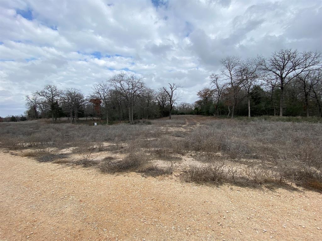 1215 Walleye Creek Trail Trl, Lexington, Texas image 10