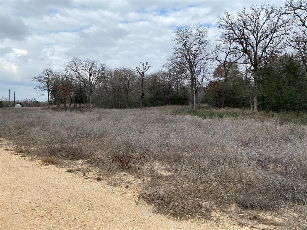 1215 Walleye Creek Trail Trl, Lexington, Texas image 12