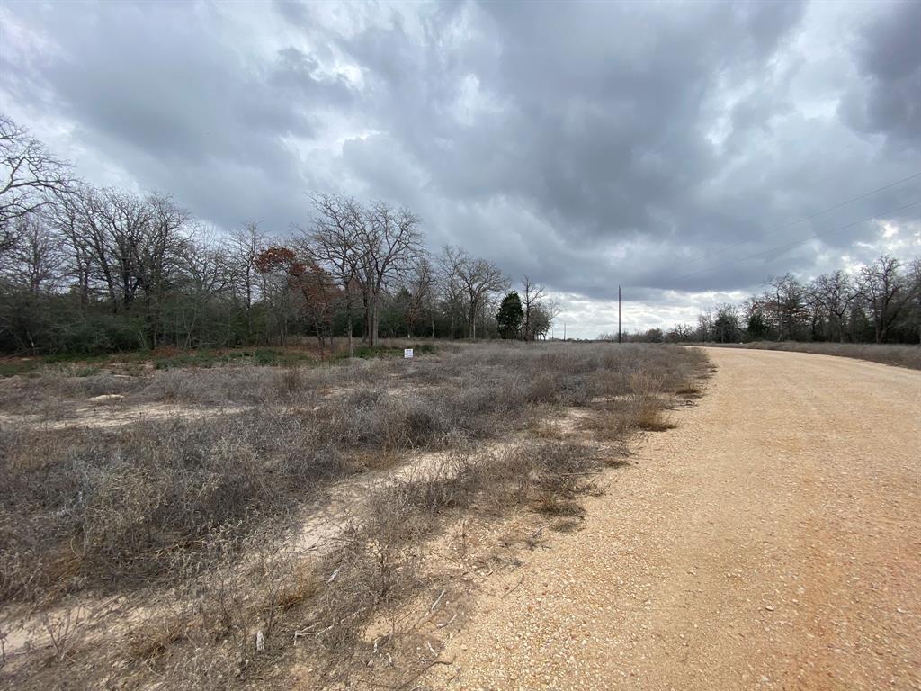 1215 Walleye Creek Trail Trl, Lexington, Texas image 8