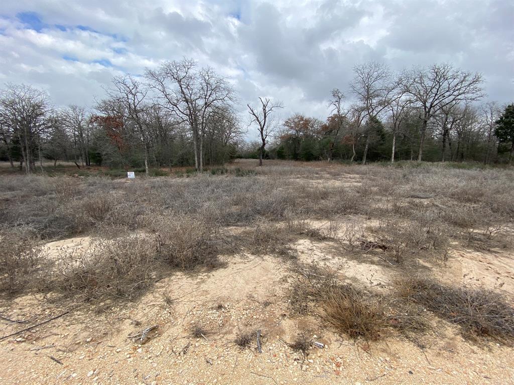 1215 Walleye Creek Trail Trl, Lexington, Texas image 9