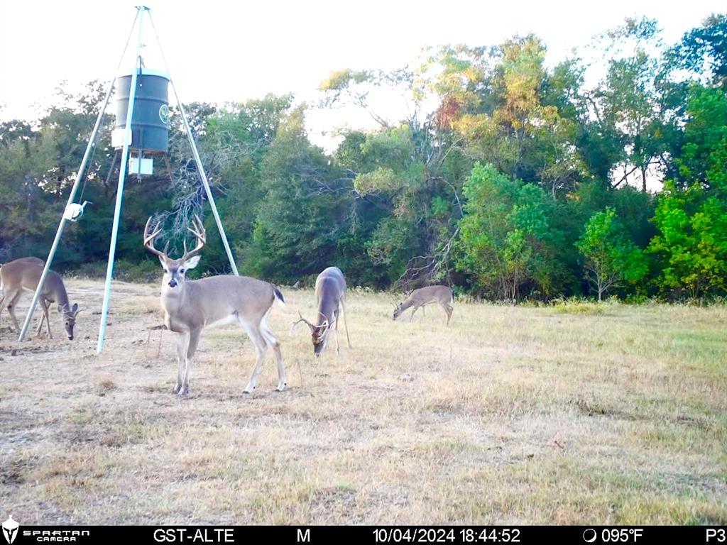 Mitchell Rd, Hempstead, Texas image 9