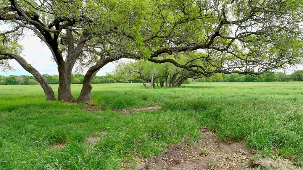 1220 Waldeck Road, Ledbetter, Texas image 8