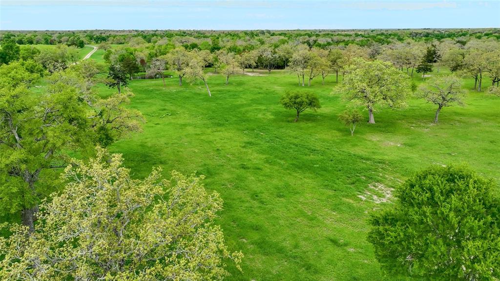 1220 Waldeck Road, Ledbetter, Texas image 3