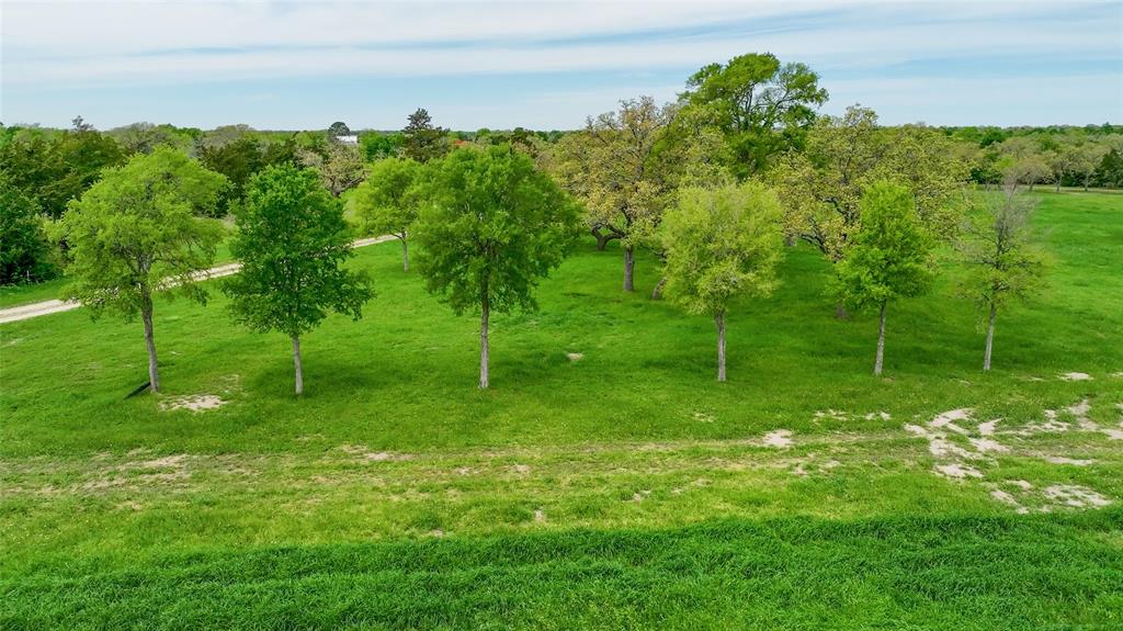 1220 Waldeck Road, Ledbetter, Texas image 9