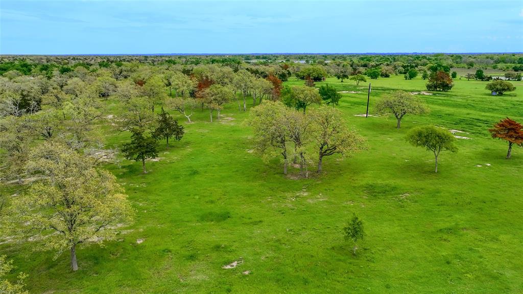 1220 Waldeck Road, Ledbetter, Texas image 10