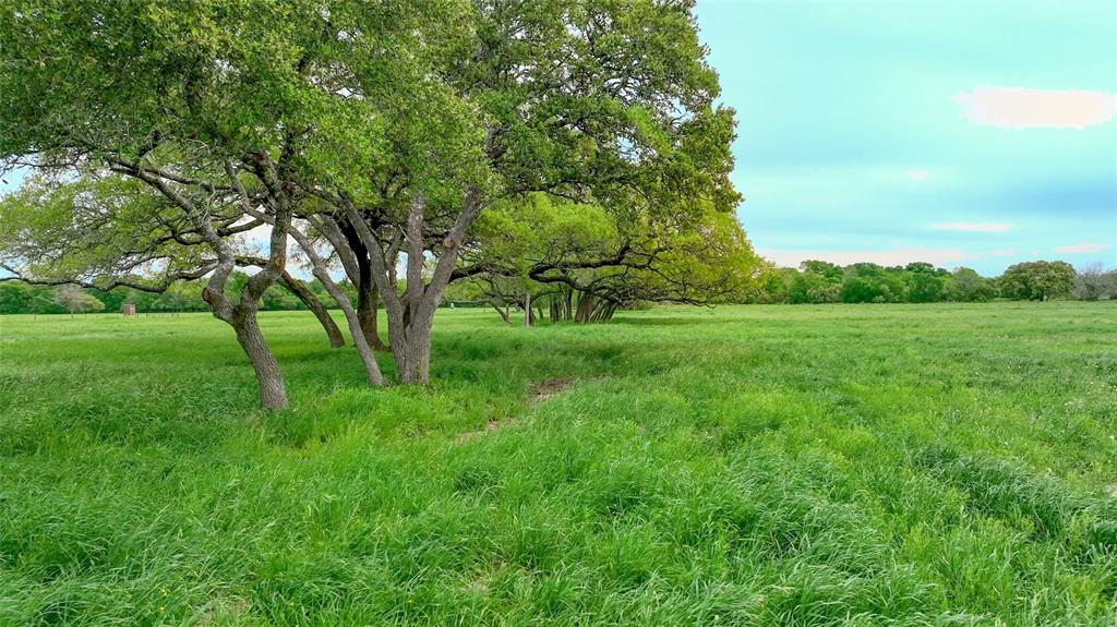 1220 Waldeck Road, Ledbetter, Texas image 7