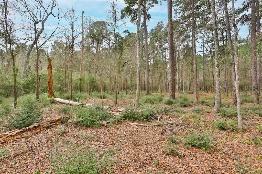 00 Larkspur Lane, New Waverly, Texas image 9