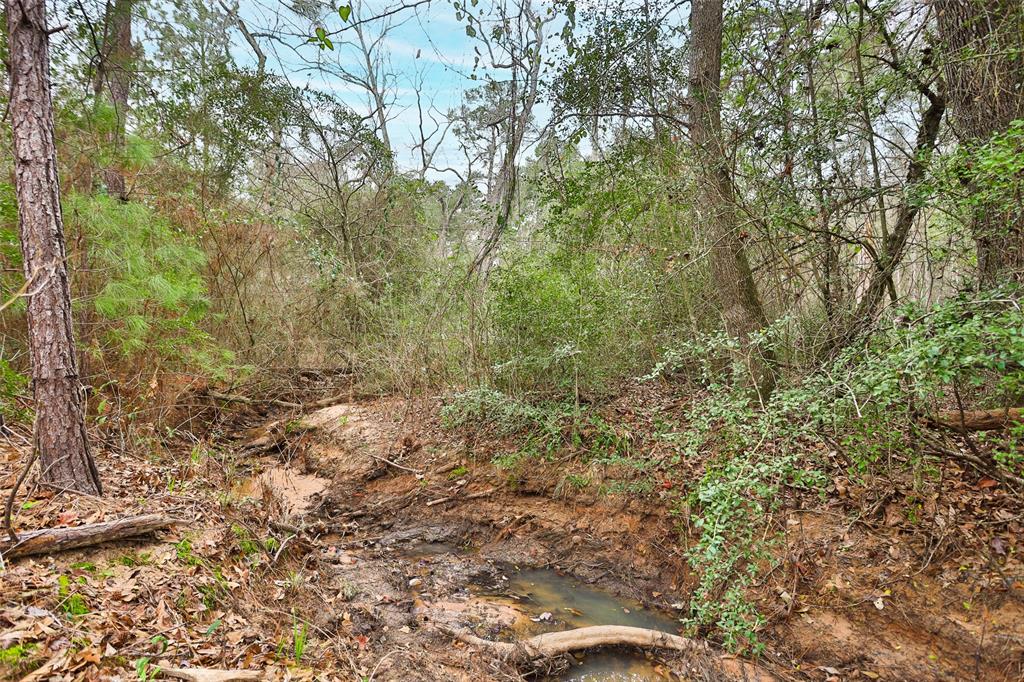 00 Larkspur Lane, New Waverly, Texas image 8