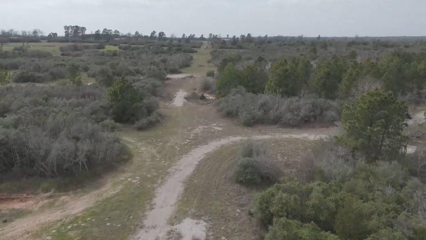 143 County Road 7866, Devine, Texas image 7