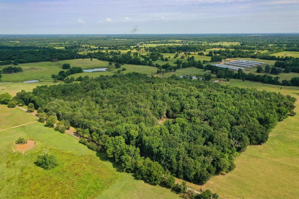 TBD Cr 4330, Omaha, Texas image 5