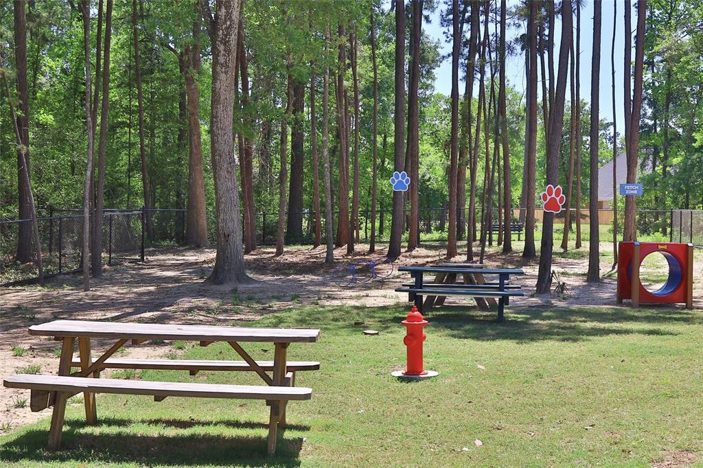 1132 Beals Creek Street, Conroe, Texas image 14