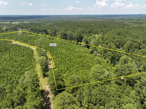 Vacant Land For Sale - 02 Fire Tower Road<br/> Sabine County, Hemphill, TX 75948