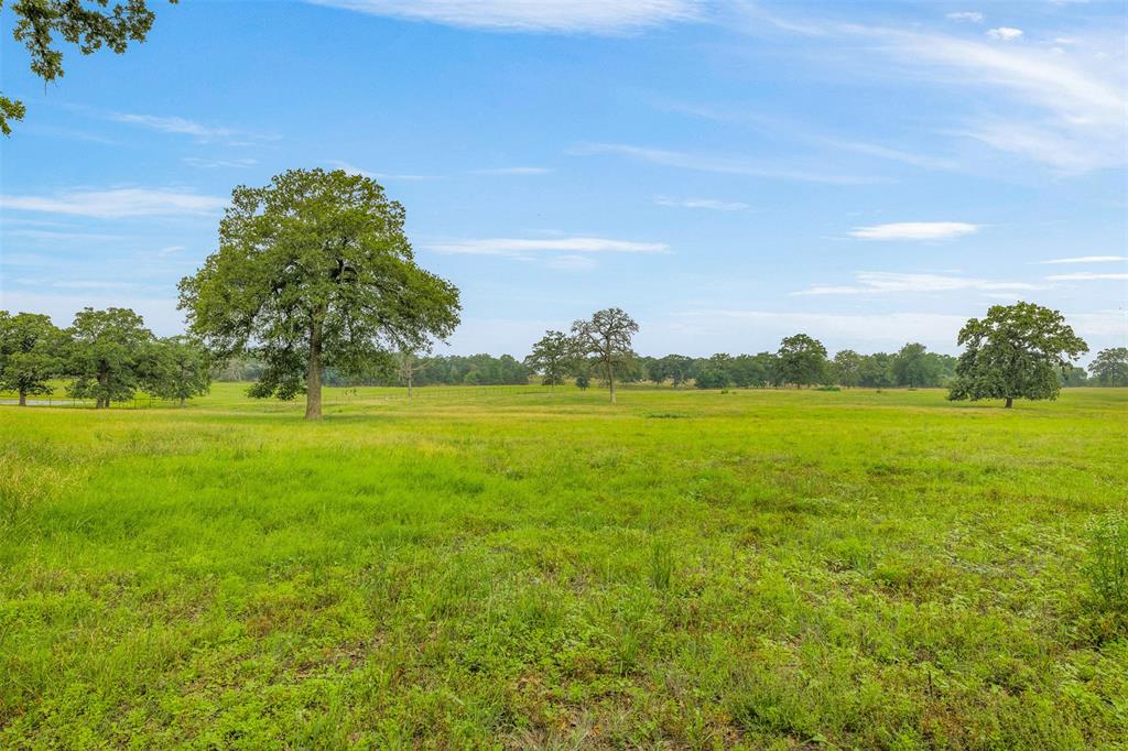 9110 Cr 362, Caldwell, Texas image 34