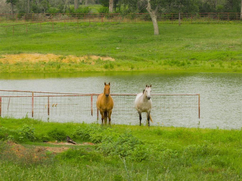9110 Cr 362, Caldwell, Texas image 4