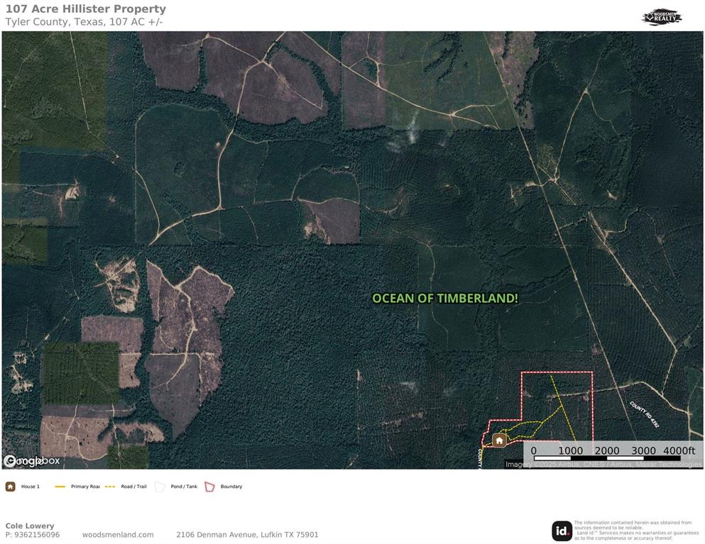 850 County Road 4390, Hillister, Texas image 12