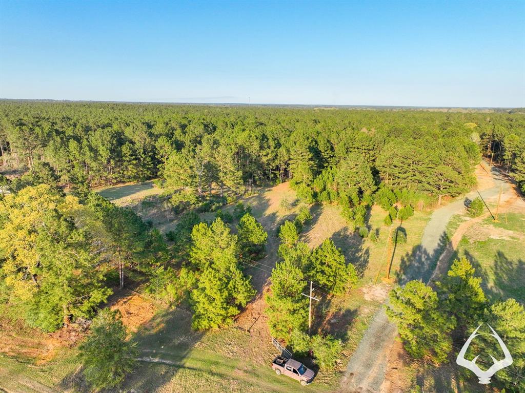 850 County Road 4390, Hillister, Texas image 4