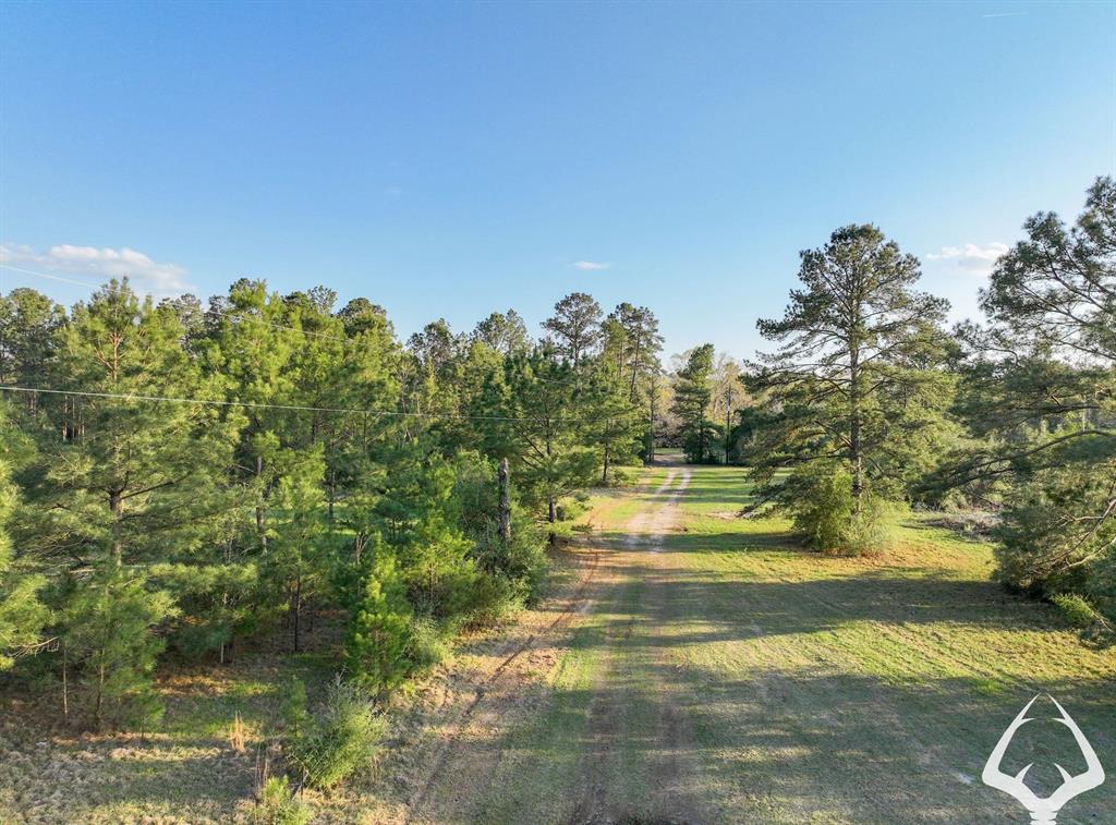 850 County Road 4390, Hillister, Texas image 36