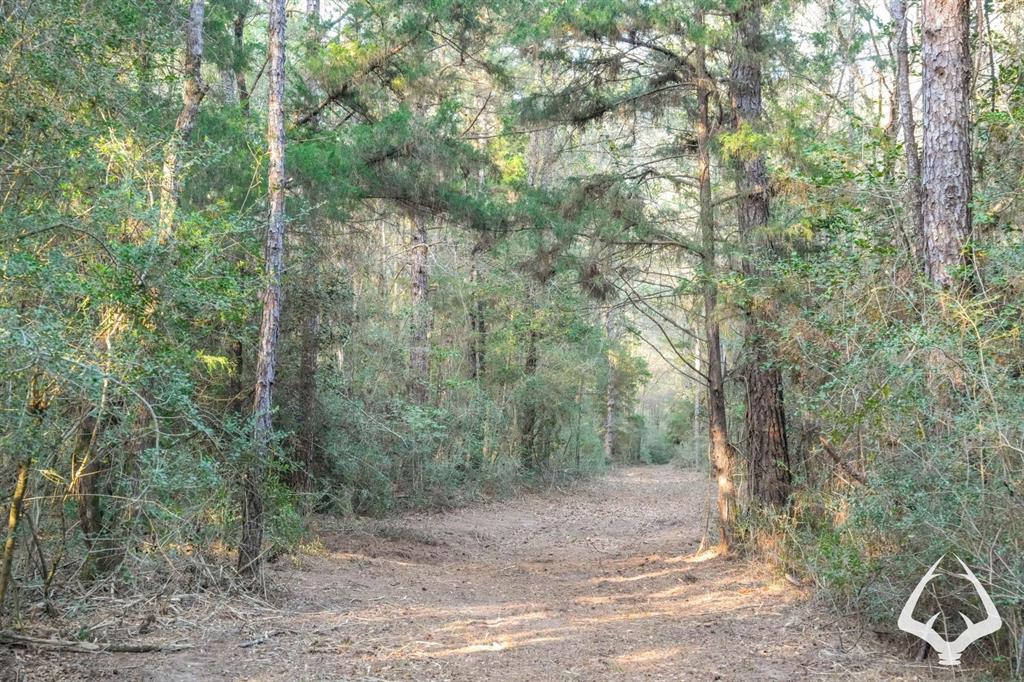 850 County Road 4390, Hillister, Texas image 10