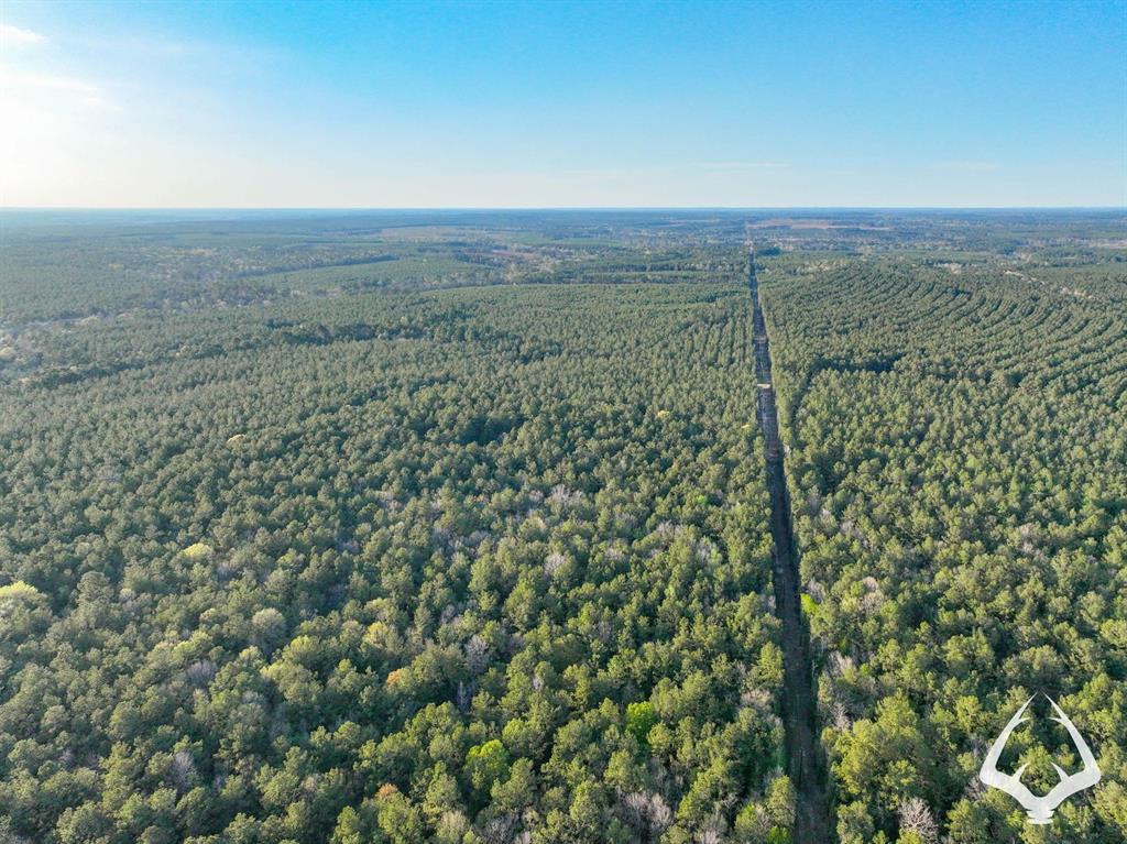 850 County Road 4390, Hillister, Texas image 3