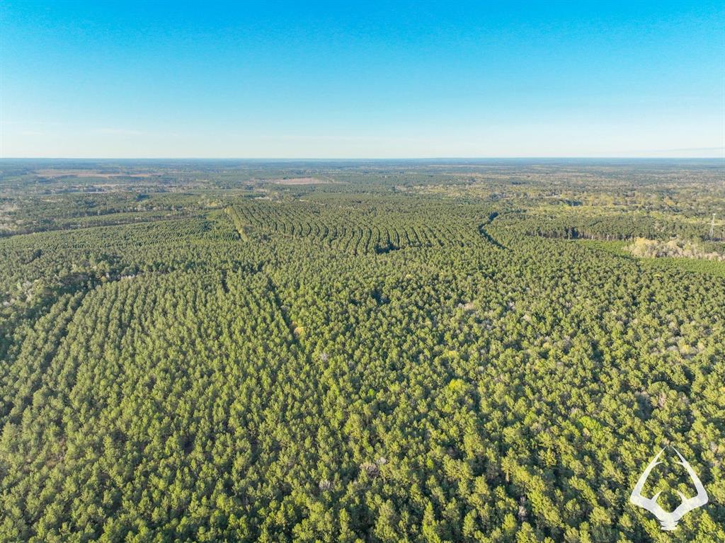 850 County Road 4390, Hillister, Texas image 19