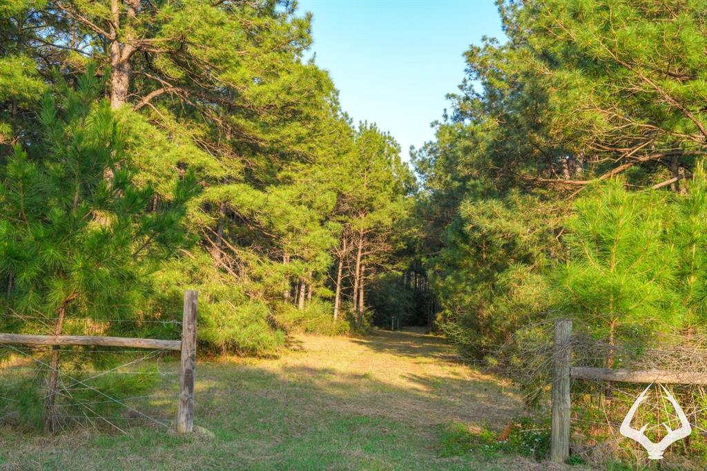 850 County Road 4390, Hillister, Texas image 37