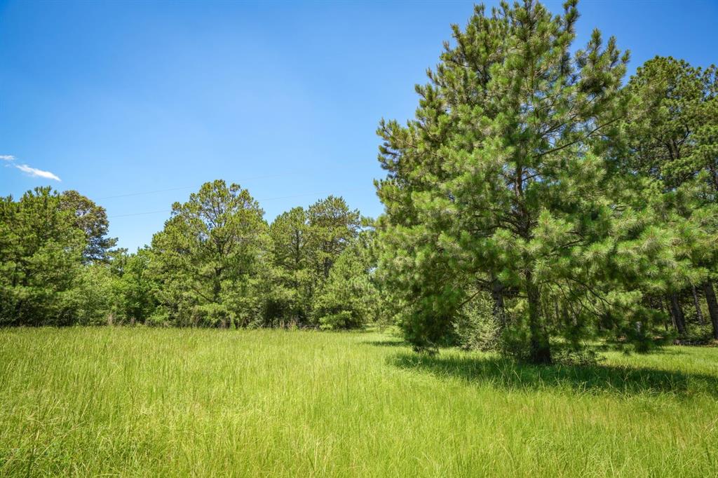850 County Road 4390, Hillister, Texas image 31