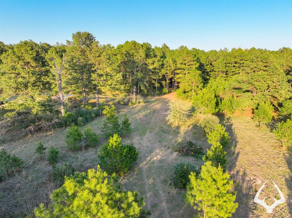 850 County Road 4390, Hillister, Texas image 28