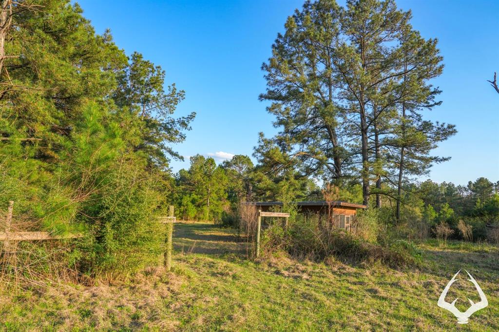 850 County Road 4390, Hillister, Texas image 38
