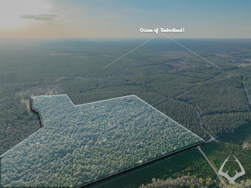 850 County Road 4390, Hillister, Texas image 2