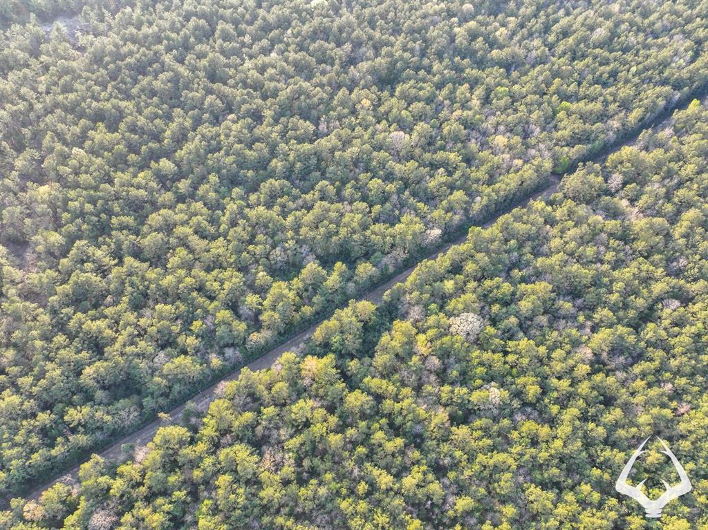 850 County Road 4390, Hillister, Texas image 22