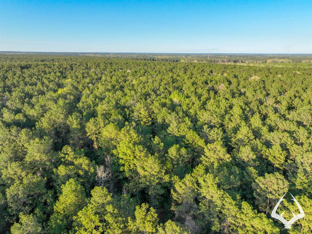 850 County Road 4390, Hillister, Texas image 8