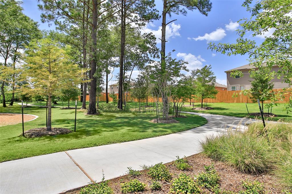 10377 Red Cardinal Drive, Cleveland, Texas image 13