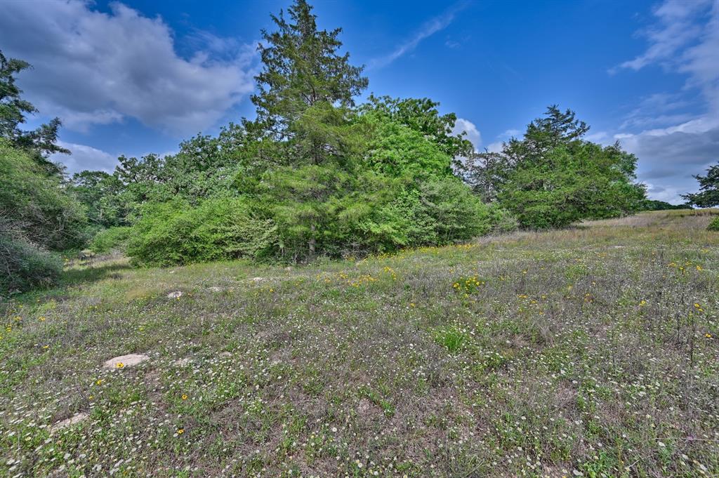 17718 Tranquil Lane, Cat Spring, Texas image 11