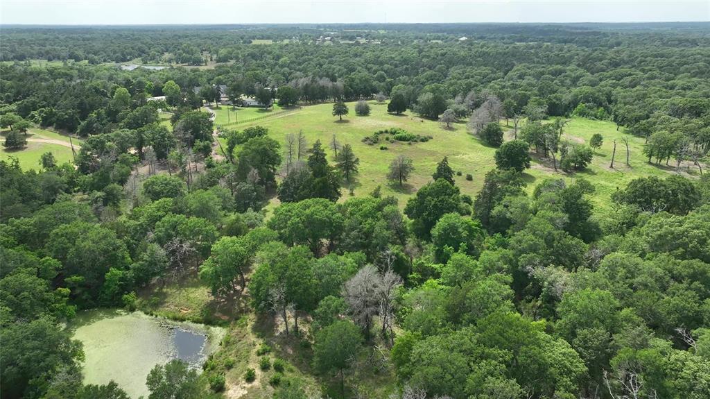 17718 Tranquil Lane, Cat Spring, Texas image 18