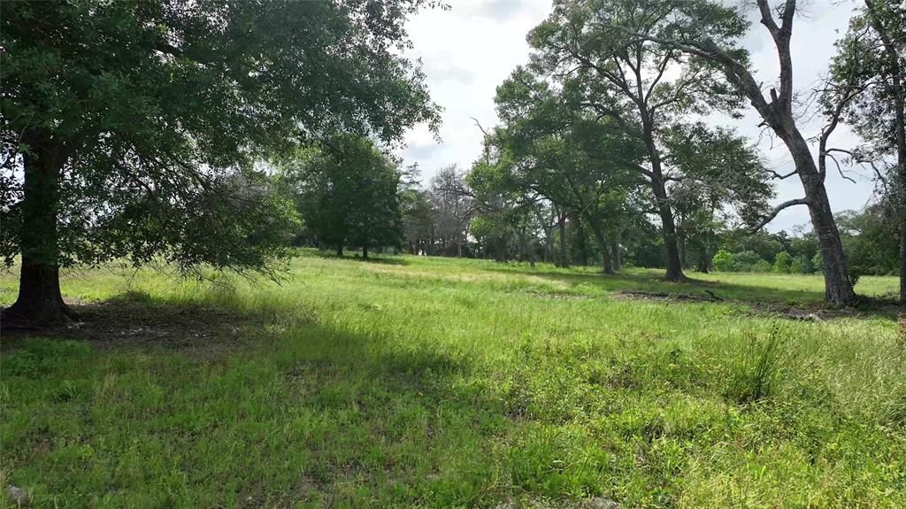 17718 Tranquil Lane, Cat Spring, Texas image 15