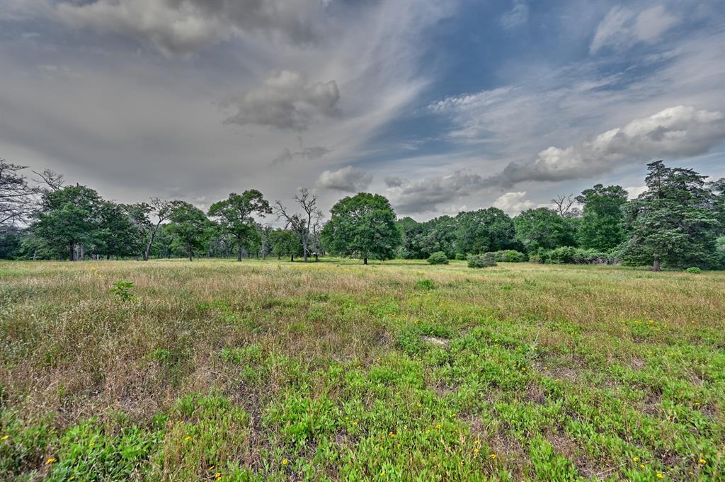 17718 Tranquil Lane, Cat Spring, Texas image 6