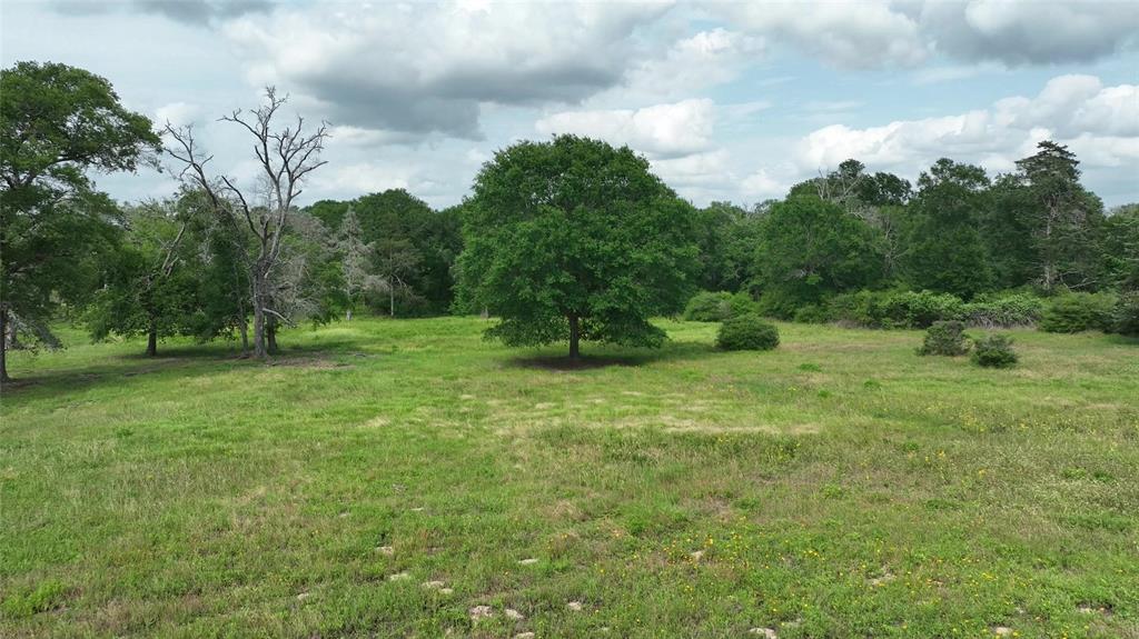 17718 Tranquil Lane, Cat Spring, Texas image 16