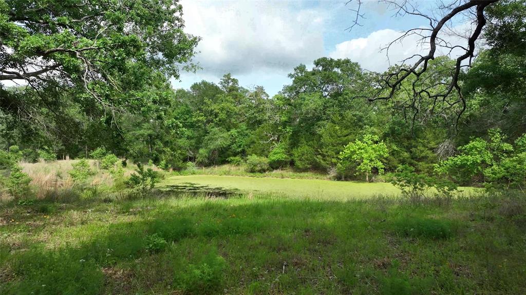 17718 Tranquil Lane, Cat Spring, Texas image 4